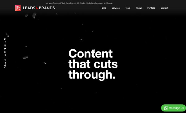 Leads and Brands