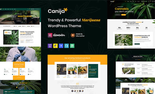 Canija WordPress Theme